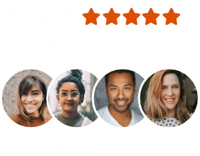 4.9 out of 5 based on 250 reviews